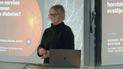 Kan den nervösa hornhinnan avslöja diabetes?